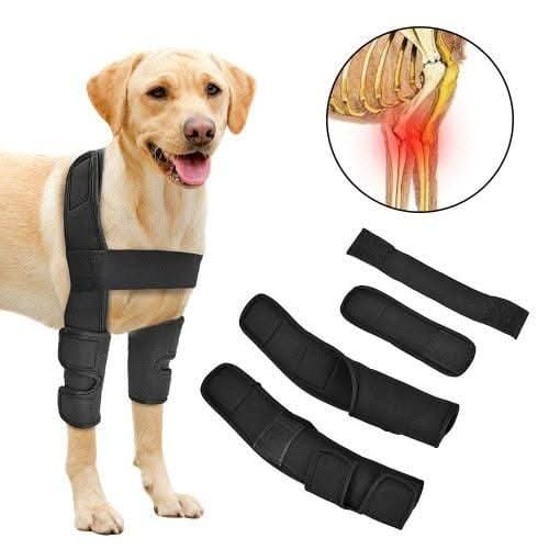 Dog Elbow Brace — Orthopedic Support for Joint Comfort and Recovery
