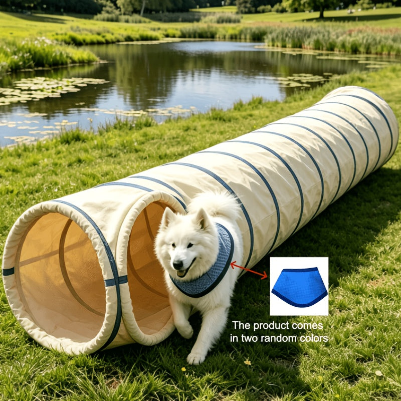 Cão usando lenço refrescante saindo de túnel de brincadeira