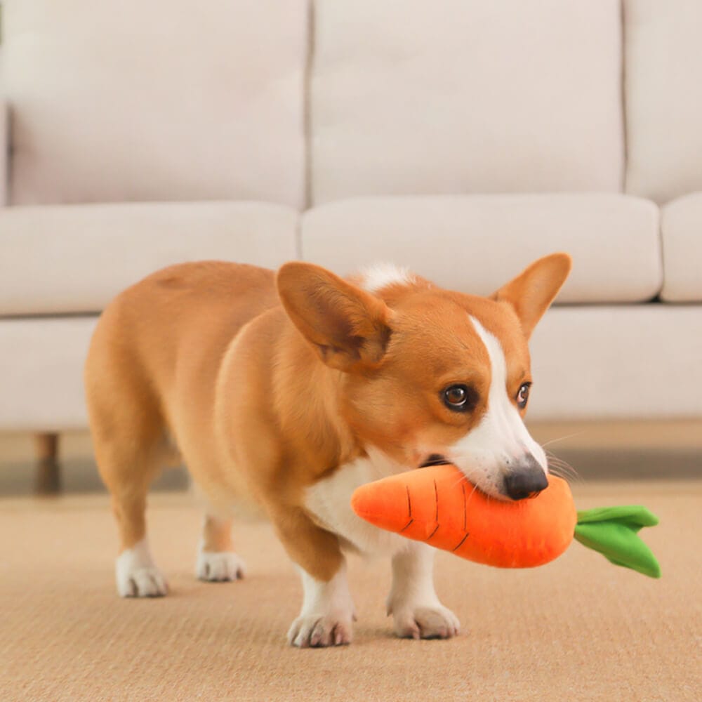 Squeaky Plush Carrot Dog Toy — Soft Interactive Play for Dogs