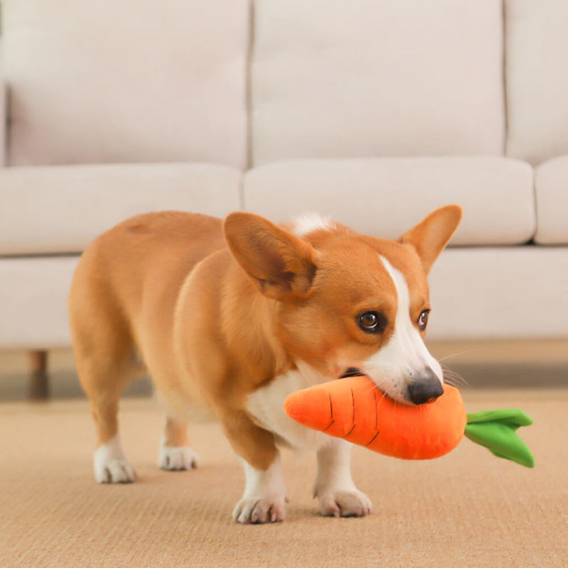 Carrot Squeaky Plush Dog Toy – Interactive Fun for Happy Pups
