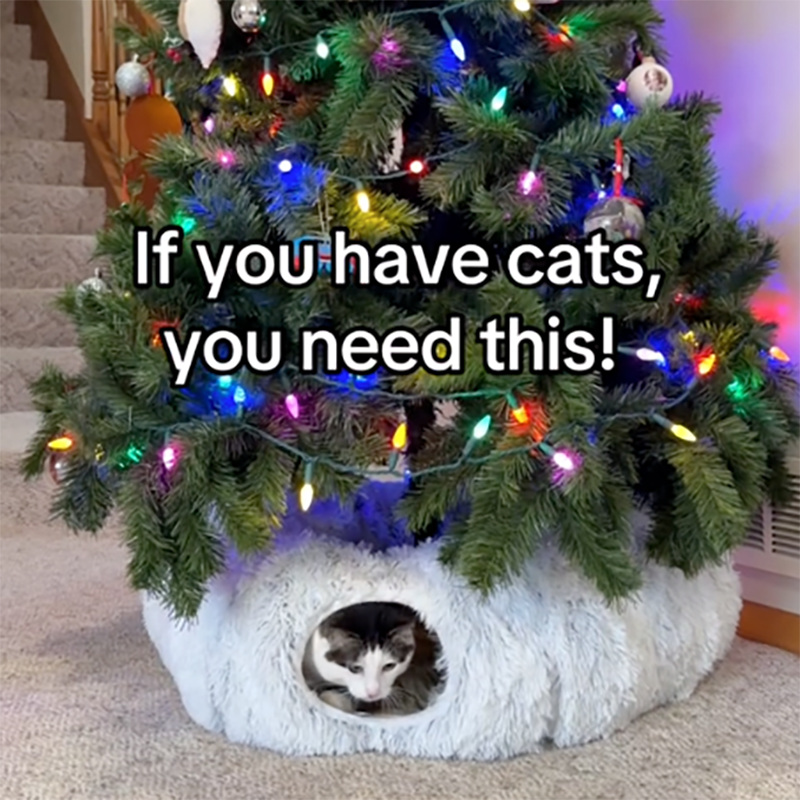 PurrTunnel – Cat Play Tunnel with Bed & Endless Fun