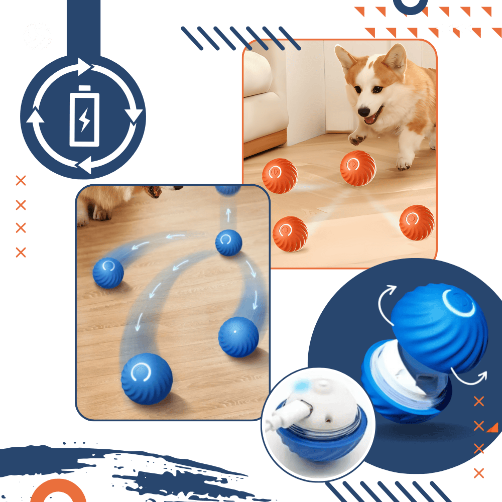 Smart Dog Ball – Obstacle Avoidance Play