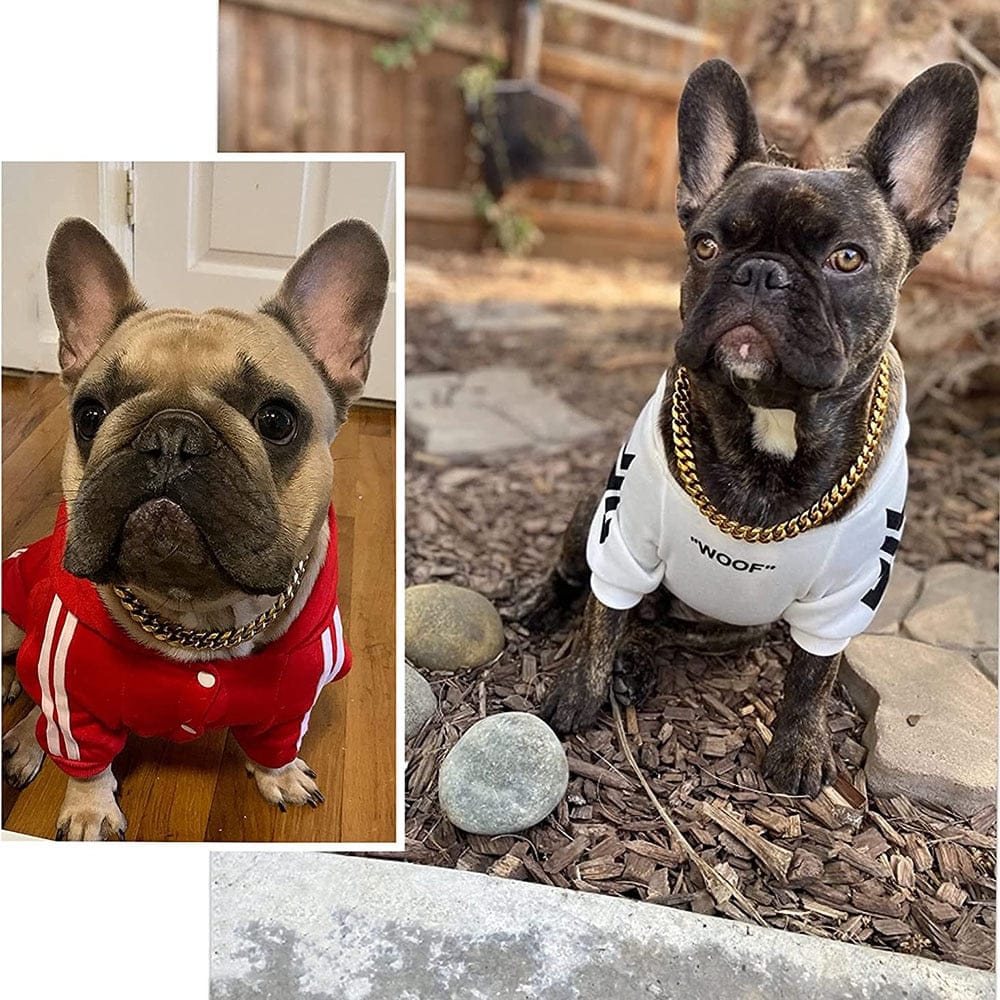 Gold Chain Dog Collar — Durable Metal Collar with Premium Look