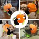 Dog Pumpkin Halloween Costume – Fun & Cozy Outfit
