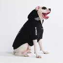 Limited Edition Halloween Dog Hoodie – Cozy, Stylish & Spooky-Cute