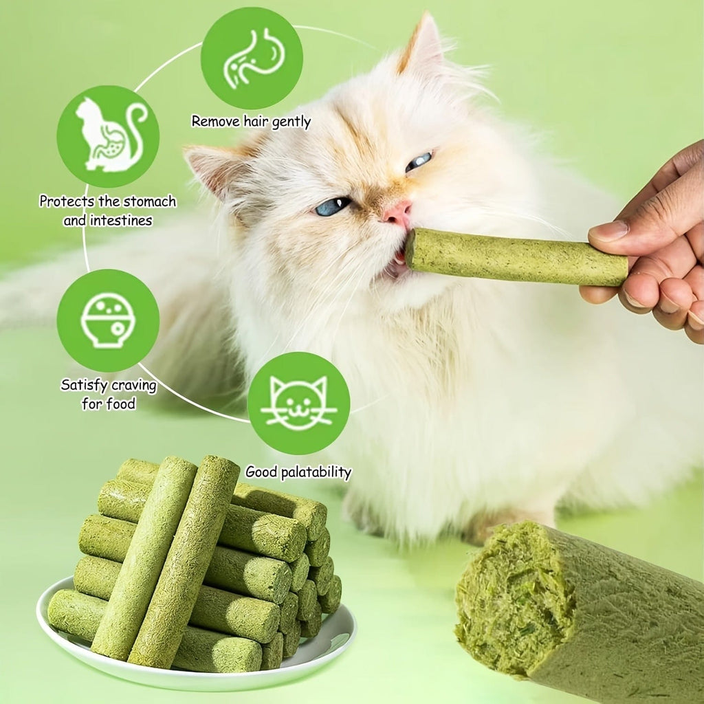 Cat Grass Chew Sticks — Natural Chewing & Digestive Support for Cats