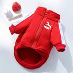 Stylish warm dog coat with soft inner fleece lining for winter