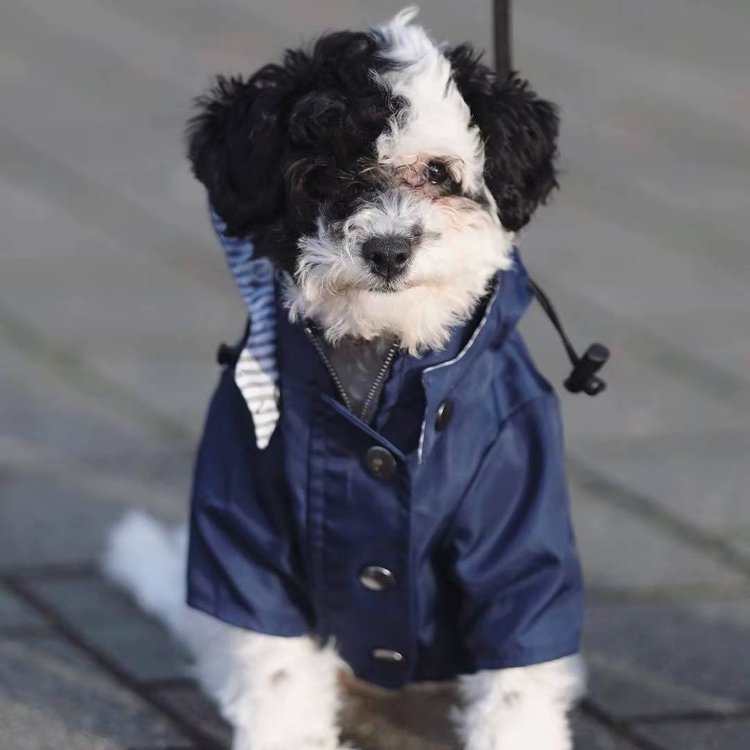 Waterproof Dog Rain Jacket — Full Protection on Rainy Days