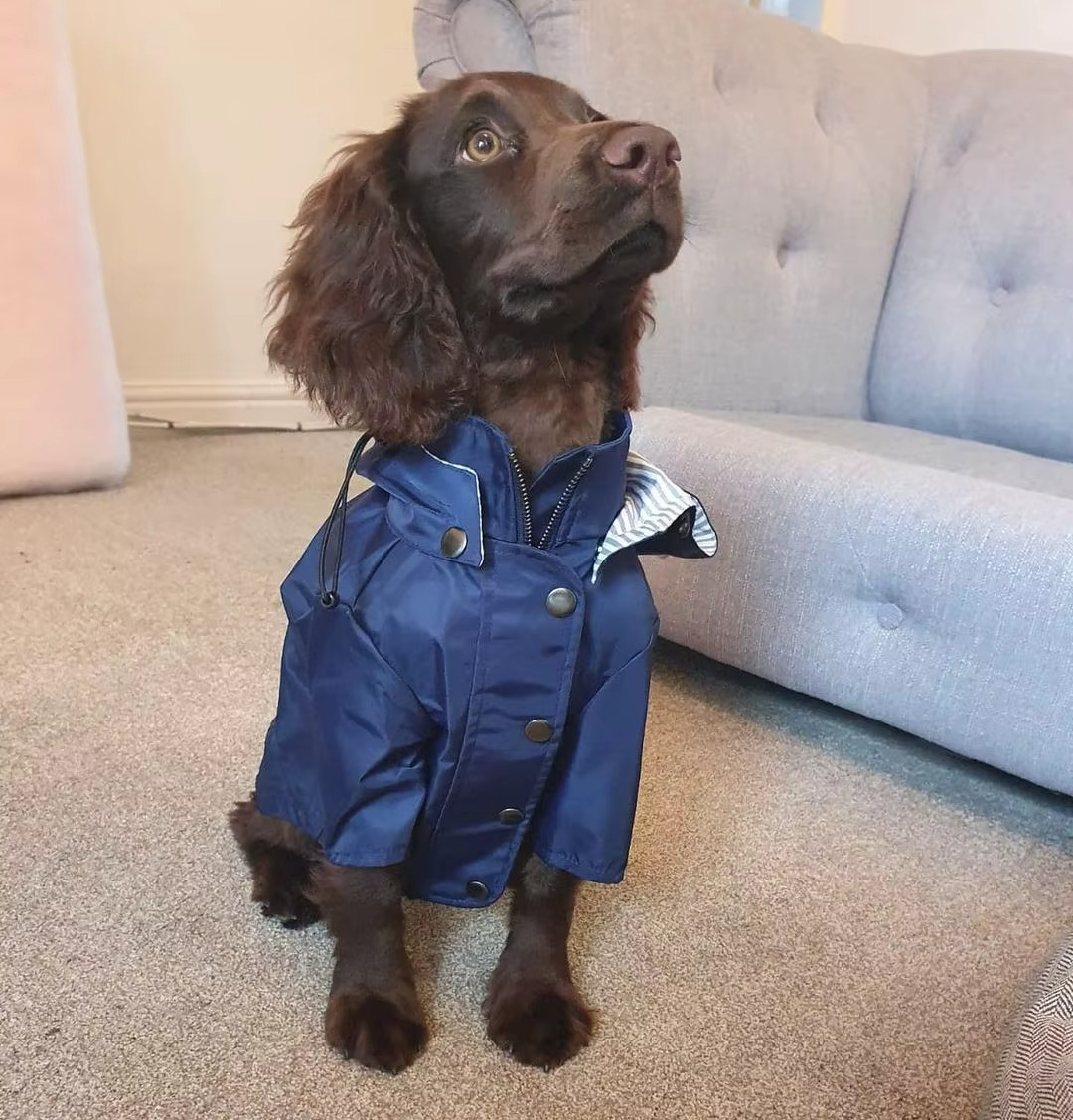 Waterproof Dog Rain Jacket — Full Protection on Rainy Days
