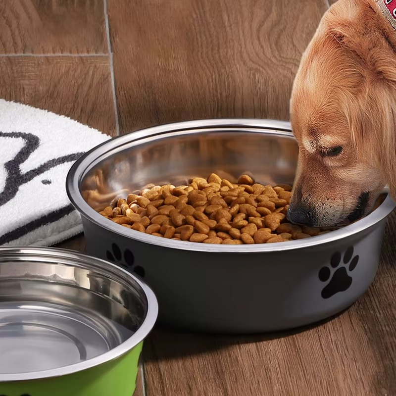 Non-Slip Pet Bowl with Stable Base — No Sliding, No Tipping, No Mess