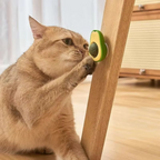 Avocado Catnip Cat Toy — Natural Herb Stimulates Play and Hunting Instinct