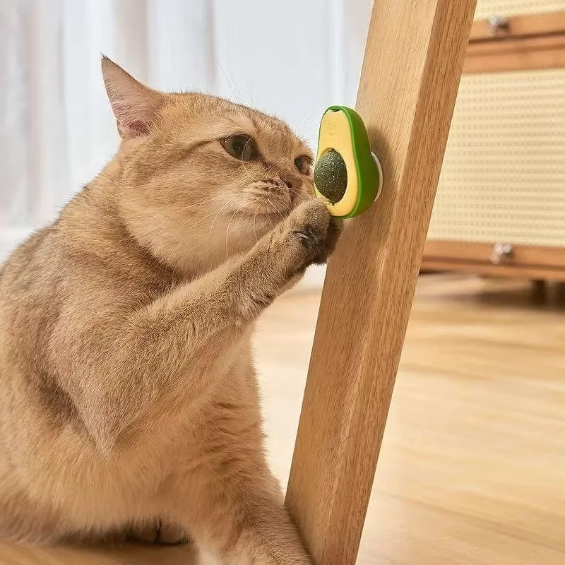 Avocado Catnip Cat Toy — Natural Herb Stimulates Play and Hunting Instinct