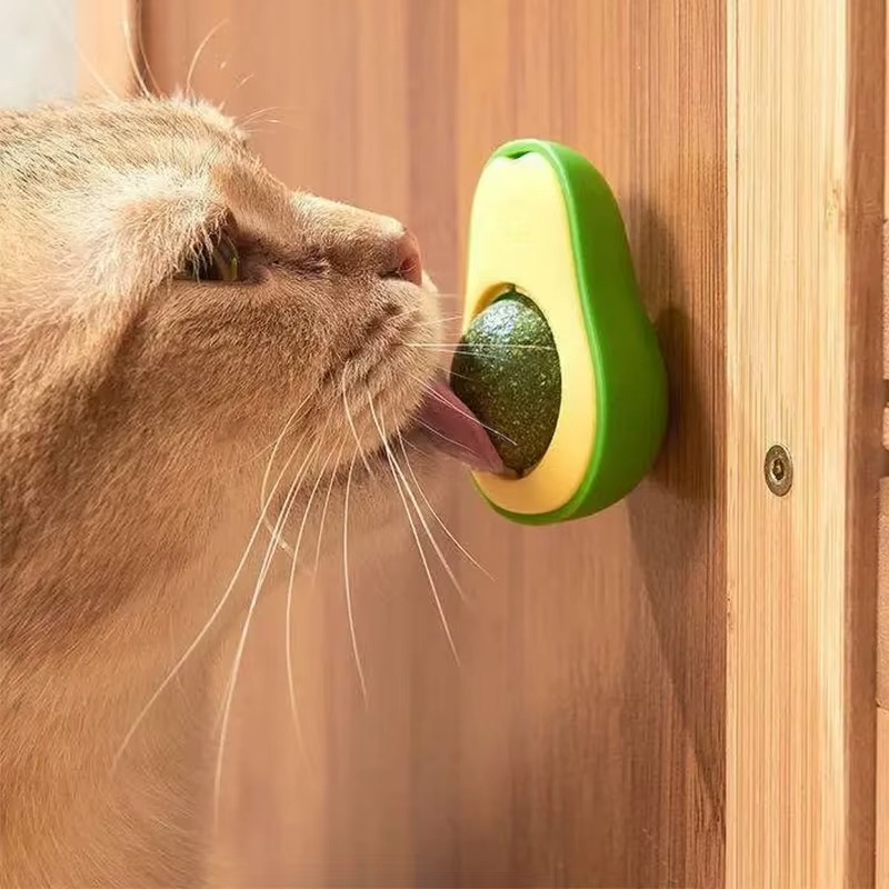 Avocado Catnip Cat Toy — Natural Herb Stimulates Play and Hunting Instinct