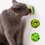 Avocado Catnip Cat Toy — Natural Herb Stimulates Play and Hunting Instinct