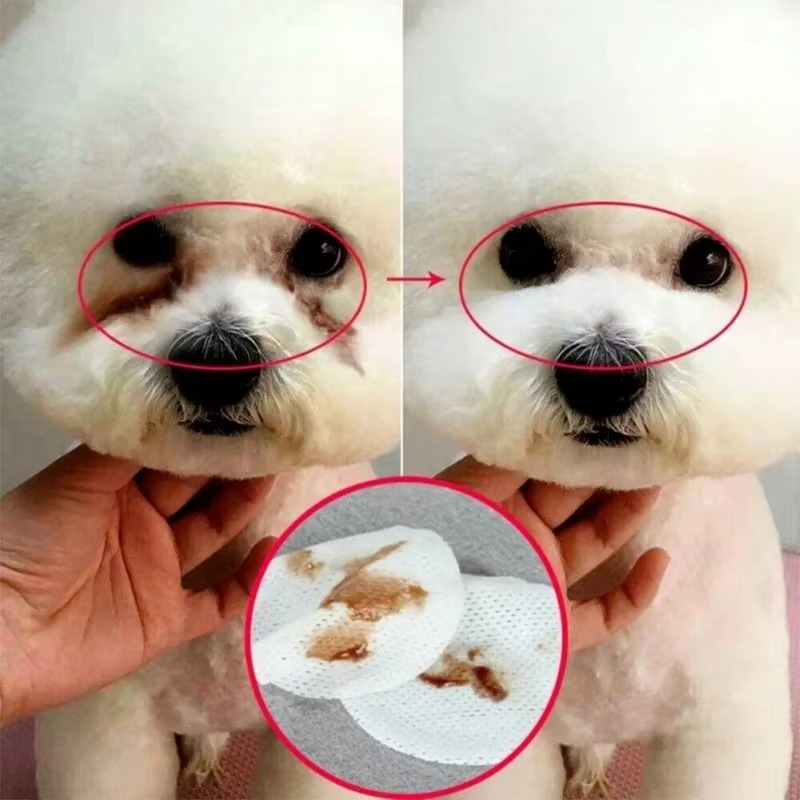 Pet Eye Cleaning Wipes — Gentle Daily Eye Hygiene for Dogs and Cats