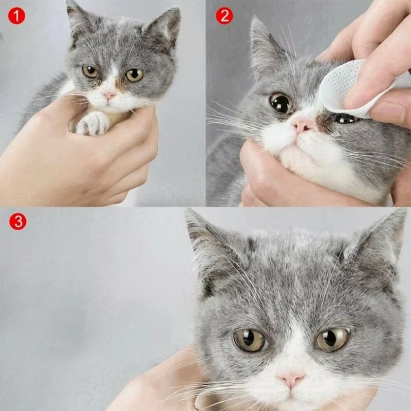 Pet Eye Cleaning Wipes — Gentle Daily Eye Hygiene for Dogs and Cats