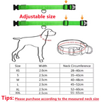 LED Pet Collar — High-Visibility Night Safety for Dogs and Cats