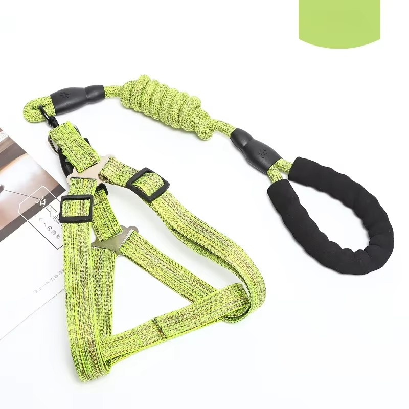 Adjustable Dog Harness and 1.5m Leash Set