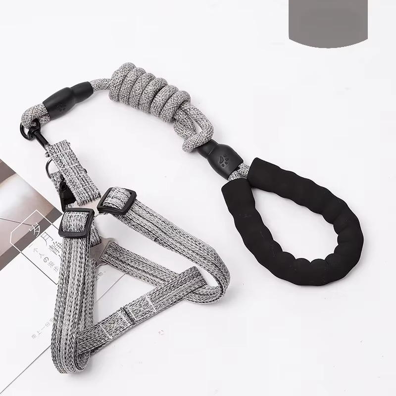 Adjustable Dog Harness and 1.5m Leash Set