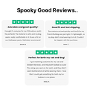 Bat Pet Costume – Fun & Comfy Halloween Wings for Dogs and Cats