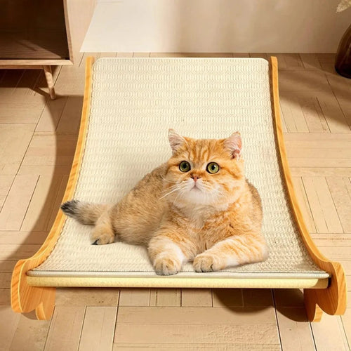 2-in-1 Multifunctional Cat Bed & Scratcher — Comfort & Play in One