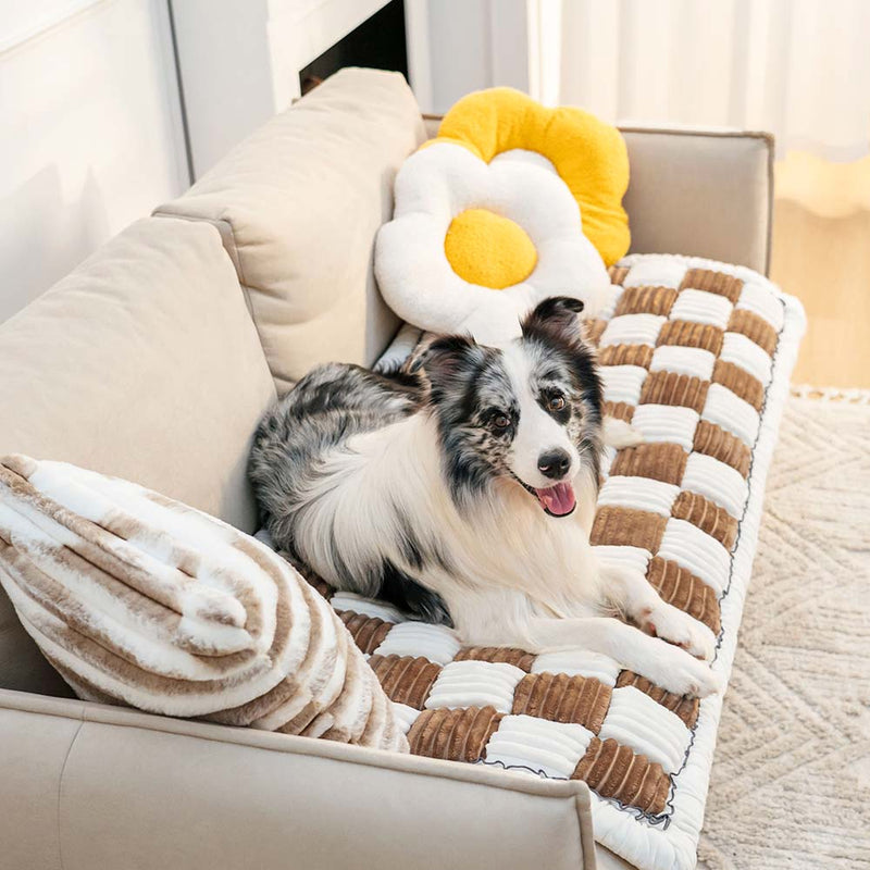 Pet-Friendly Couch Covers – Protect Your Sofa in Style!