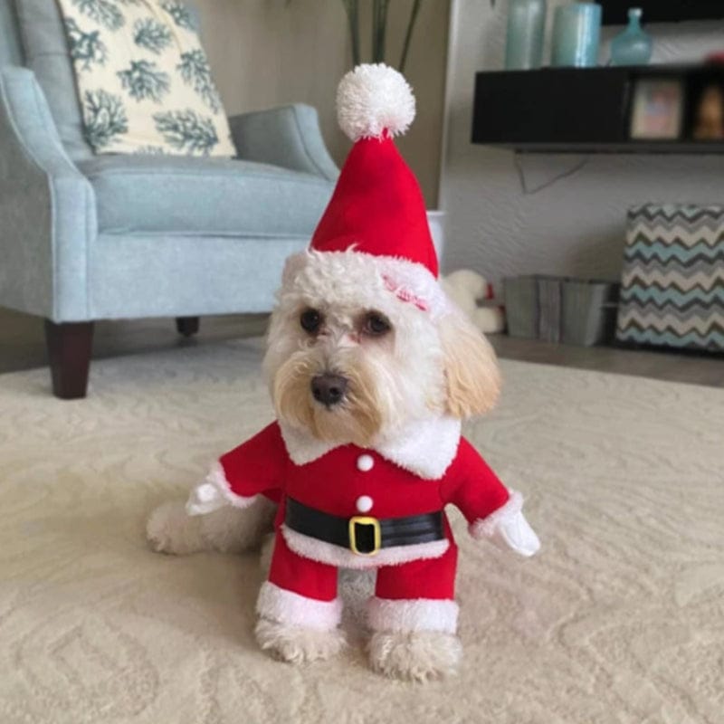 Red Santa Claus Dog Costume and Hat