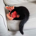 Floppy Lobster Interactive Dog Toy — Soft Plush Play for Indoor Fun & Gentle Chewing