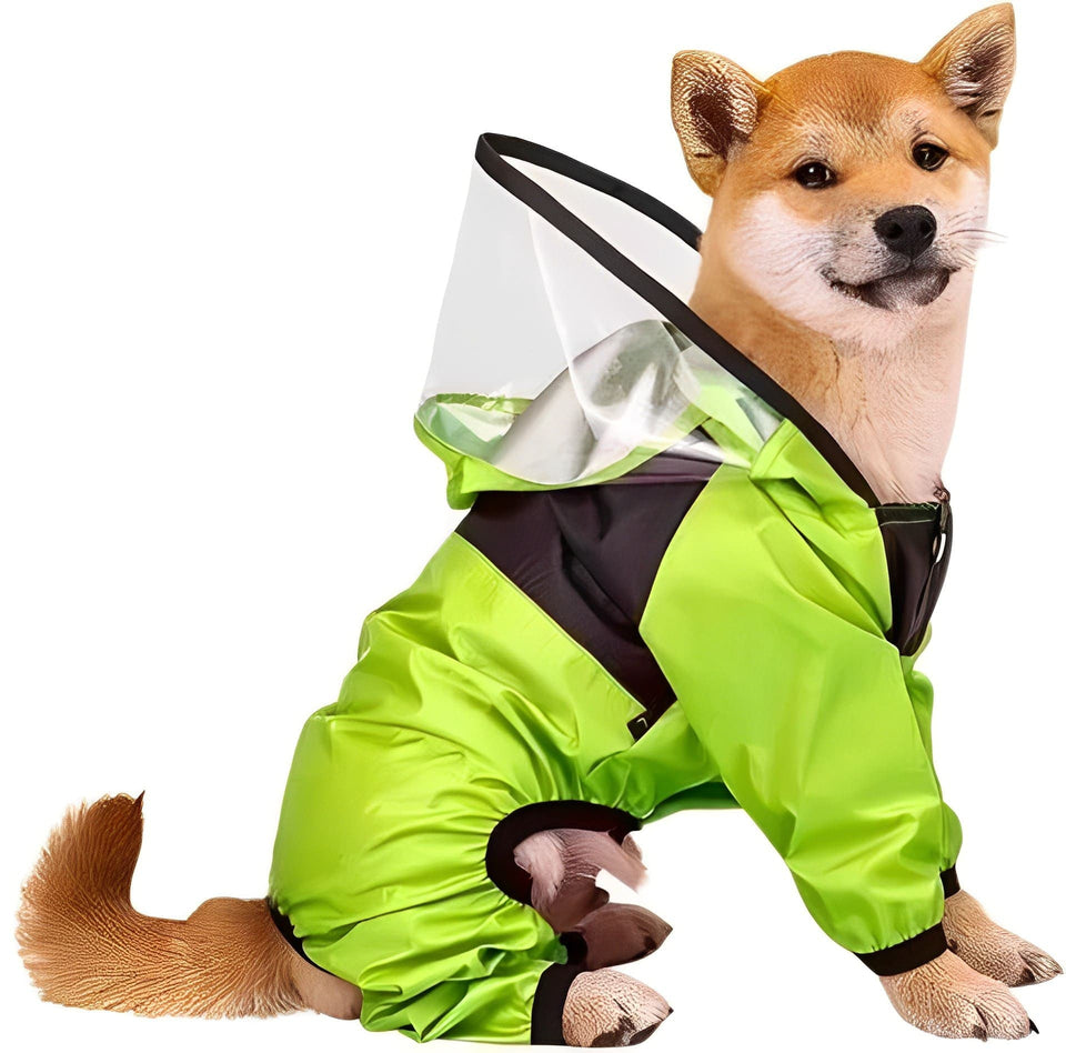 Waterproof dog raincoat for rainy walks and outdoor protection