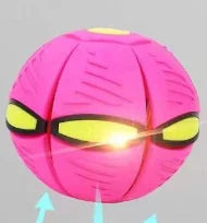 Doggy Disc Ball – 2-in-1 Interactive Fun for Dogs of All Sizes