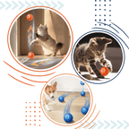 Smart Obstacle Avoidance Dog Ball — Endless Fun, Zero Hassle