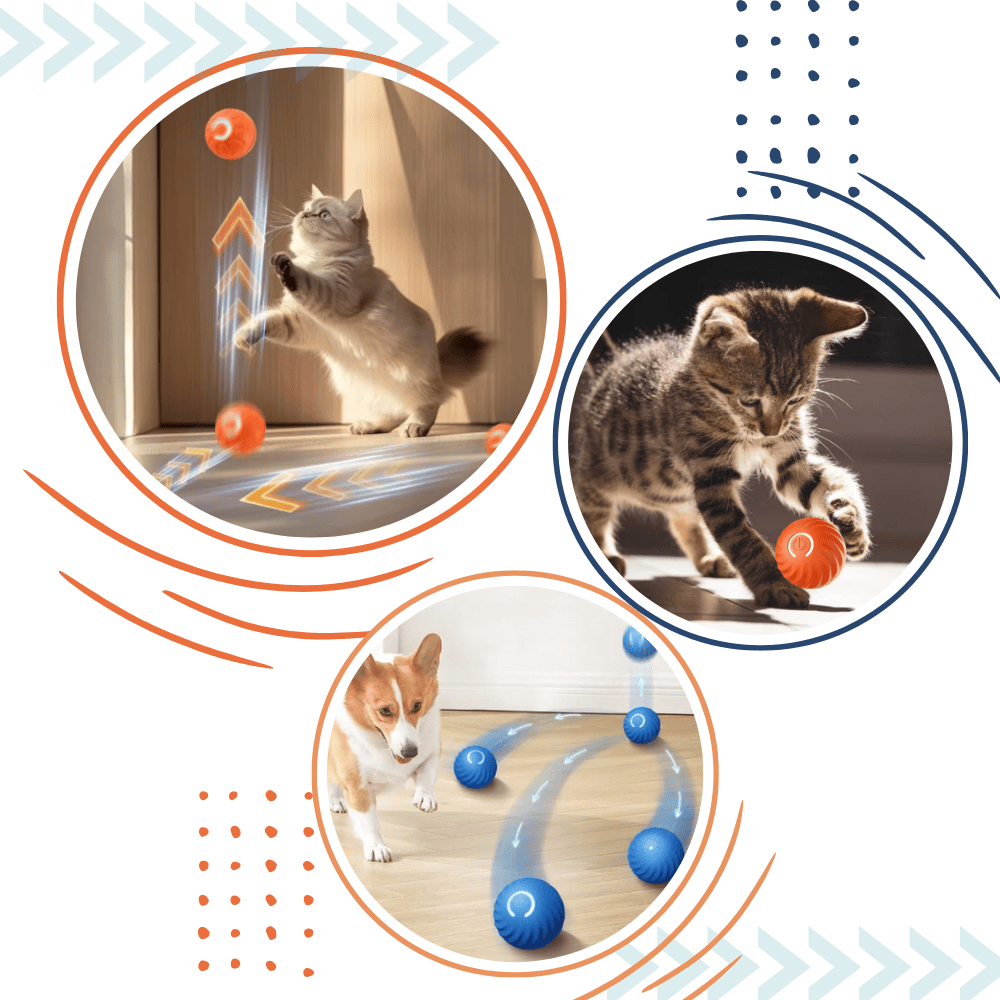 Smart Dog Ball – Obstacle Avoidance Play