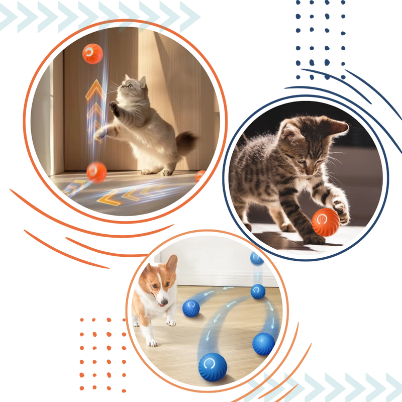 Smart Obstacle-Avoidance Dog Ball – Endless Fun, Zero Hassle