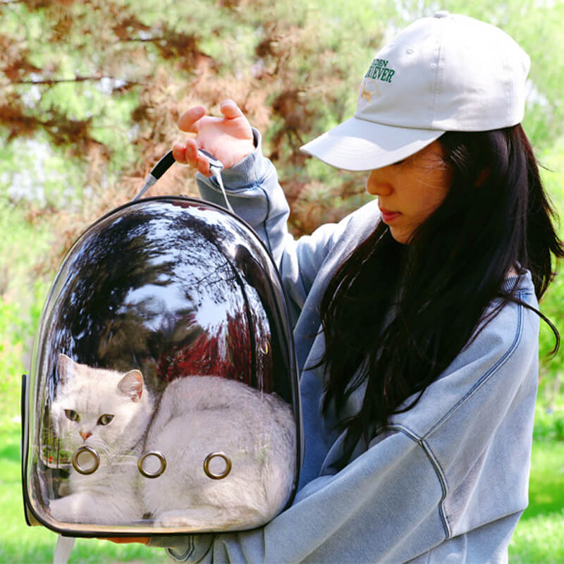 Panoramic Pet Carrier Backpack – Comfort & Clear View Travel