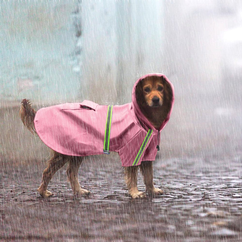 Waterproof Dog Raincoat – Walks Made Easy, Rain or Shine