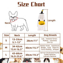 Pumpkin Ghost Halloween Costume – Spooky & Adorable Outfit for Dogs & Cats