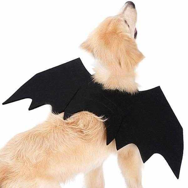 Bat Pet Costume – Fun & Comfy Halloween Wings for Dogs and Cats