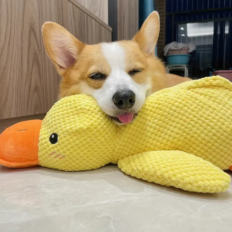 Calming Duck Dog Toy – Quack, Play & Comfort