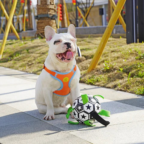 Interactive Dog Soccer Ball – Fun, Exercise & Family Bonding