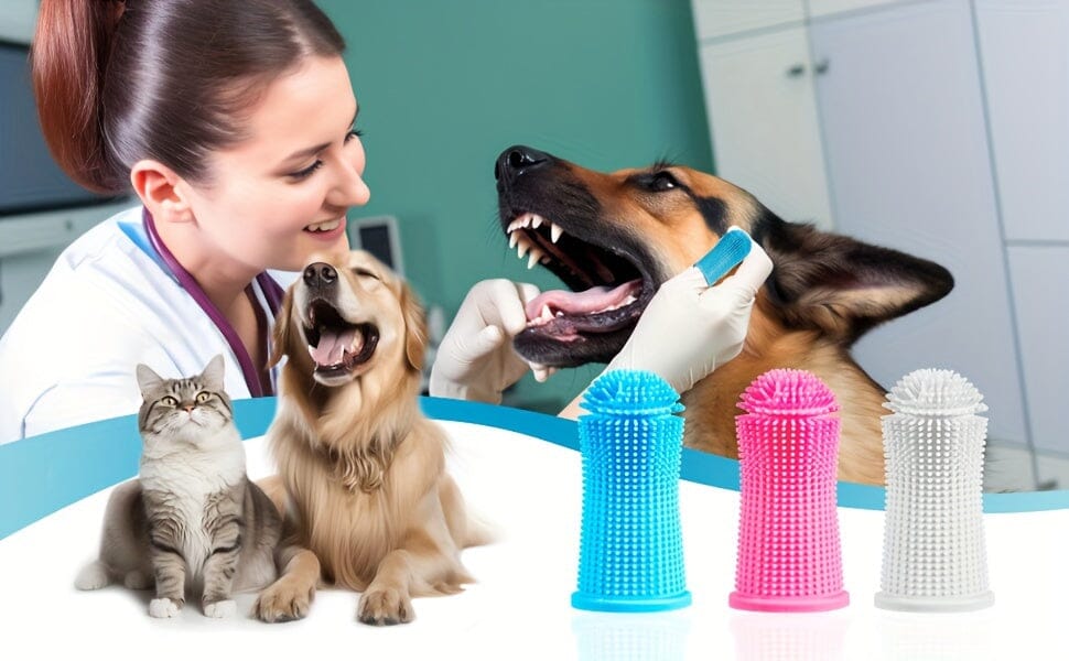 Escova Dental de Silicone para Pets - Limpeza e Saúde Bucal Madrupet 