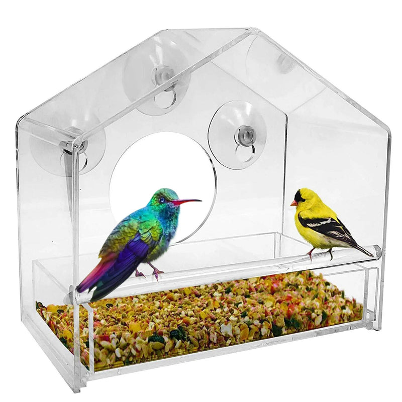 Clear Acrylic Window Bird Feeder – Strong Suction & Squirrel-Proof Design