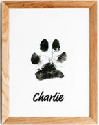 Paw Print Memory Ink Pad — Mess-Free Paw Print Keepsake for Pets