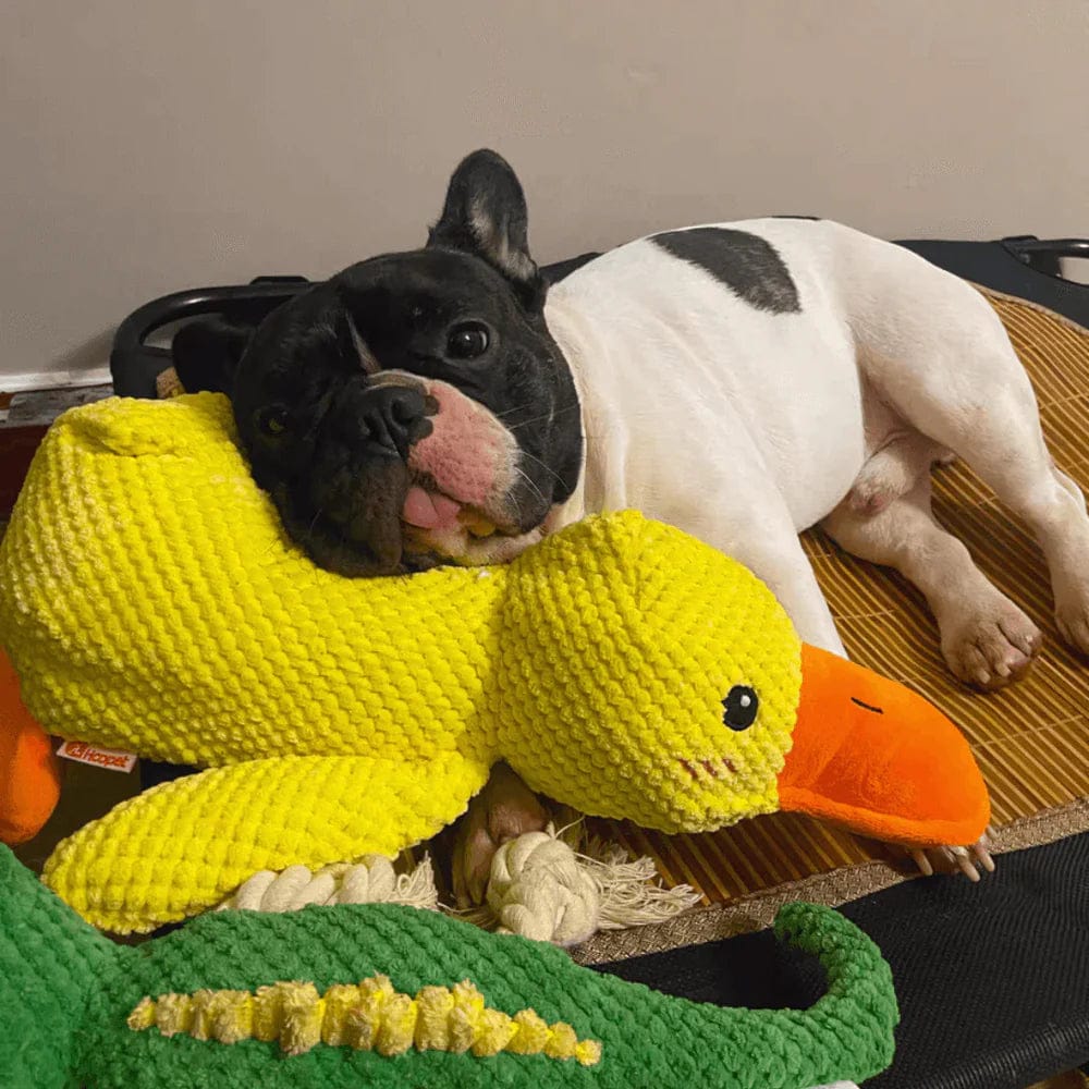Calming Duck Dog Toy — Gentle Quack Play & Comfort