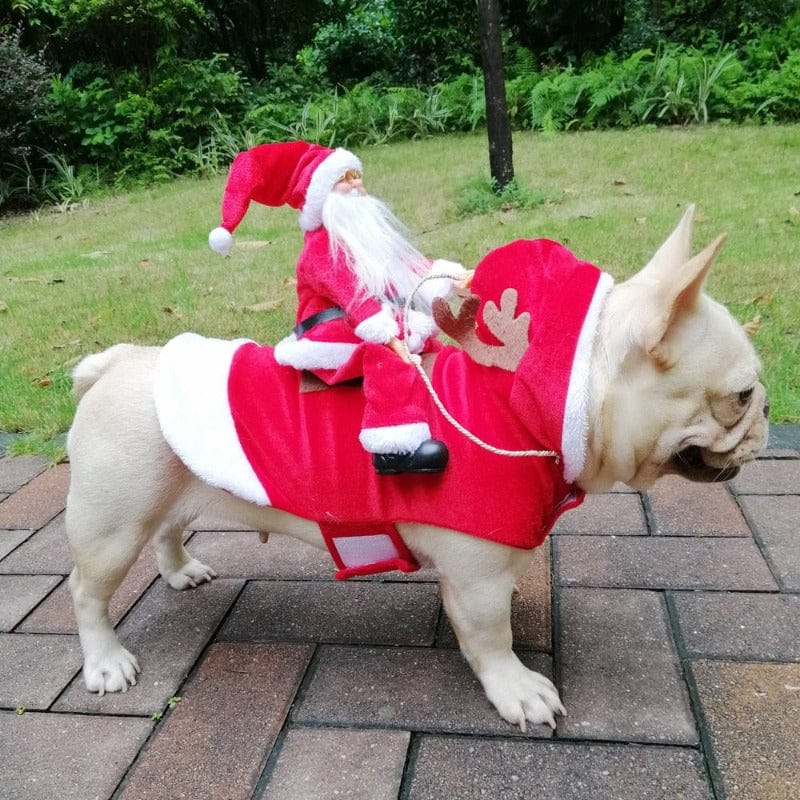 The Hilarious Riding Santa Dog Costume