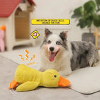Calming Duck Dog Toy — Gentle Quack Play & Comfort
