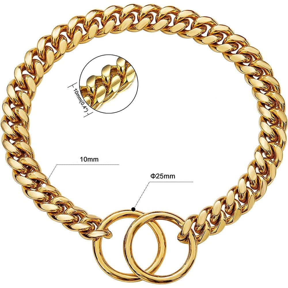 Dog wearing gold chain collar showing elegant metal links detail