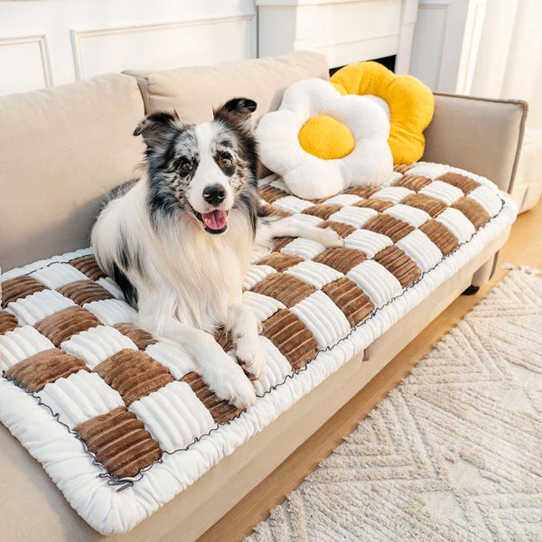 Pet-Friendly Couch Covers – Protect Your Sofa in Style!