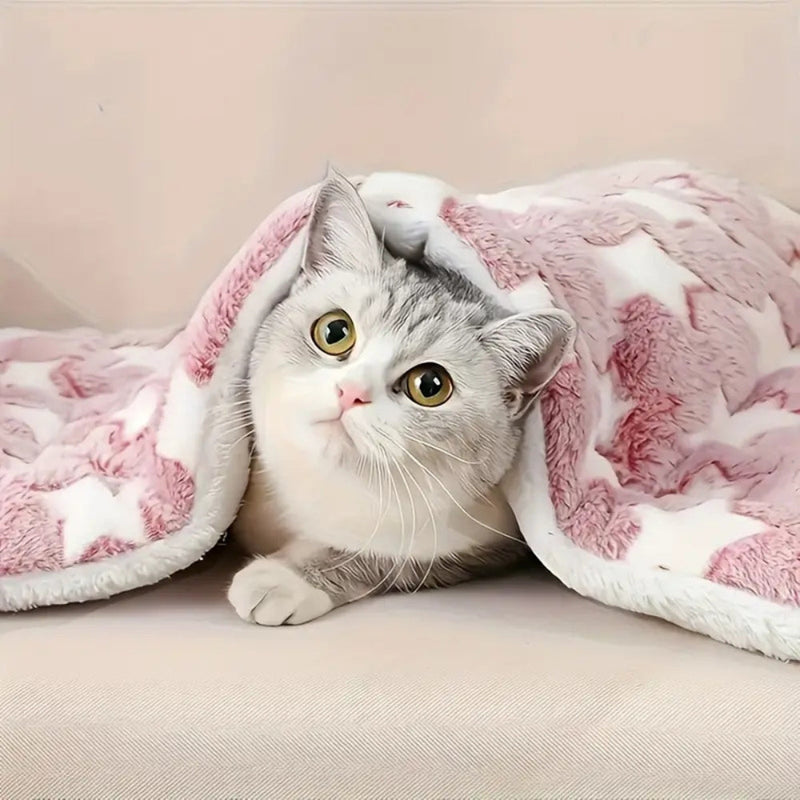 Snuggly Star Ultra-Warm Pet Bed – A Cozy Retreat for Your Pet