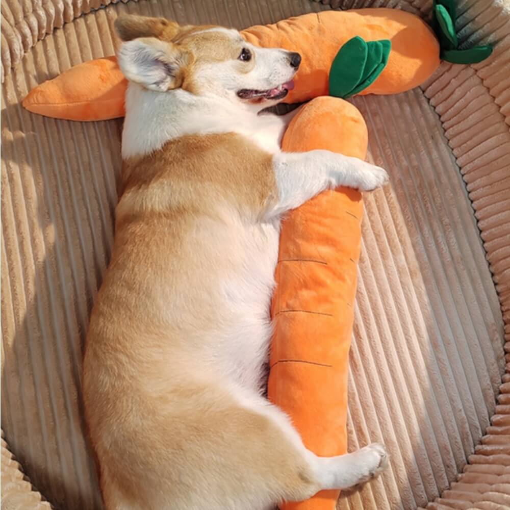 Squeaky Plush Carrot Dog Toy — Soft Interactive Play for Dogs