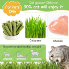 Cat Grass Chew Sticks — Natural Chewing & Digestive Support for Cats